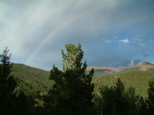 View From a Cabin Near Divide, Colorado