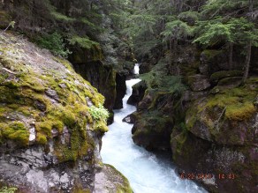 Avalanche Lake Trail