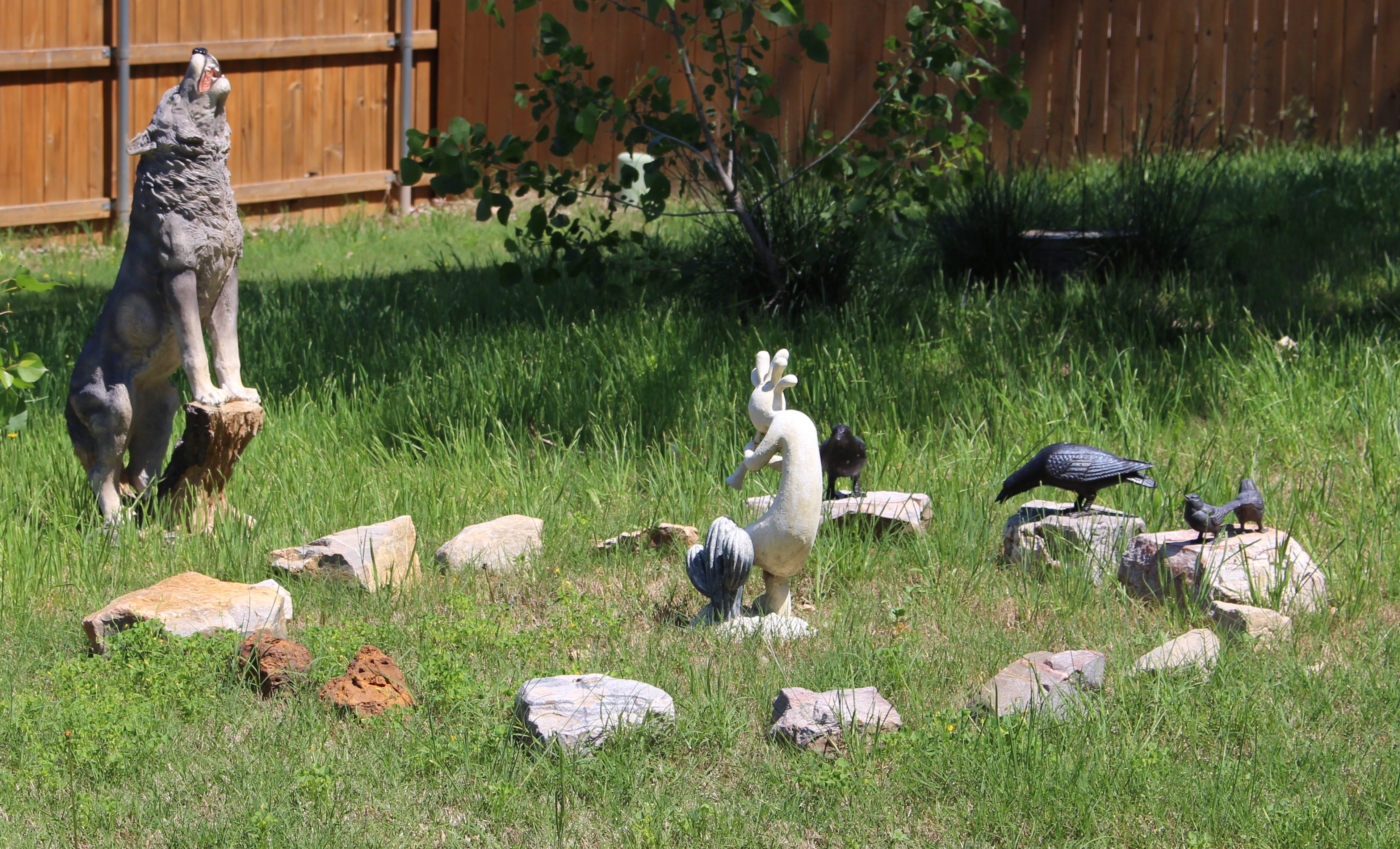 My Backyard Stone Circle