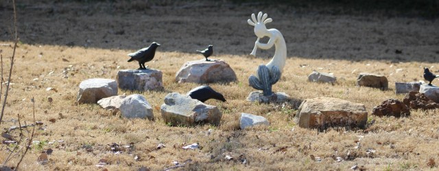 My Backyard Stone Circle