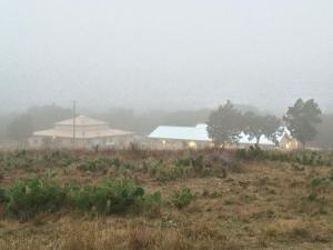 U BAR U Retreat Center - in the fog