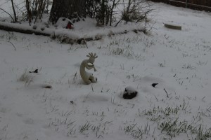 My Stone Circle (28Feb2015)