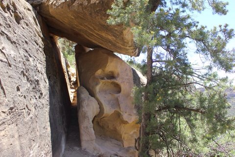 Pathway in Mesa Verde