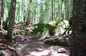 9112248859_703762b7e2_k